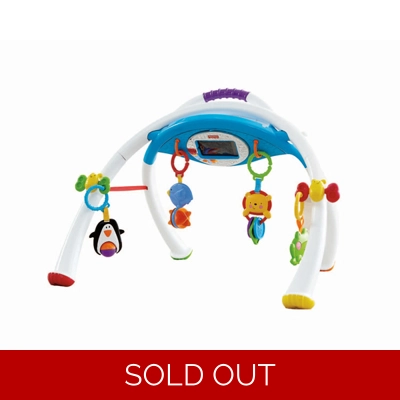 Fisher-Price Apptivity Gym